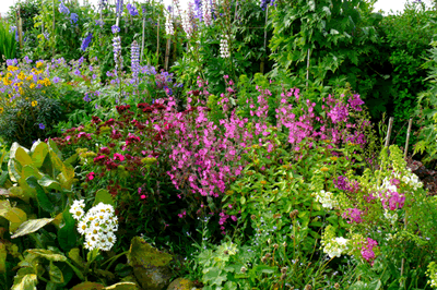 country garden
