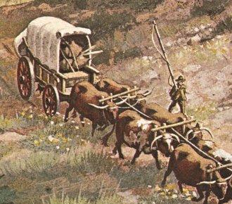 ox-wagon